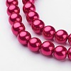 Glass Pearl Beads Strands X-HY-10D-B57-2