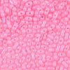 Baking Paint Glass Seed Beads SEED-L011-09A-27-4