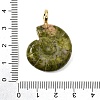 Natural & Synthetic Mixed Stone Carved Pendants G-C282-01-4