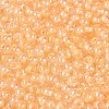FGB Glass Seed Beads SEED-Q040-08A-06-3