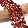 Natural Carnelian Beads Strands G-F809-A22-01-1