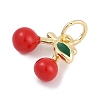 Brass Enamel Charms KK-Q028-34G-2