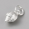 Brass Charms LS-FIND-WH0159-63S-19-2