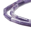 Natural Lepidolite/Purple Mica Stone Beads Strands G-H269-03-3