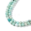 Natural Amazonite Beads Strands G-G139-A15-03-4