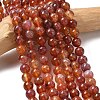 Natural Fire Crackle Agate Beads Strands G-G212-8mm-10-1