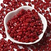 Opaque Colours Glass Seed Beads X-SEED-E001-P3x6mm-13-2