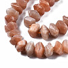 Natural Sunstone Beads Strands G-S376-007-3