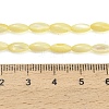 Natural Freshwater Shell Beads Strands SHEL-C010-01B-4