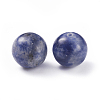 Natural Blue Spot Jasper Beads G-G782-03-2