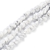 Natural Howlite Beads Strands G-K337-06-1