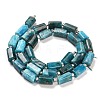 Natural Apatite Beads Strands G-G068-A11-01-3