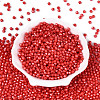 Baking Paint Pearlized Glass Seed Beads SEED-T007-21A-08-1