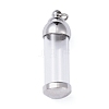 304 Stainless Steel Big Pendants STAS-D097-01D-P-1