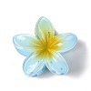 Plastic Claw Hair Clips OHAR-P020-08-2