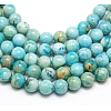 Natural Gemstone Hemimorphite Round Beads Strands G-L145-10mm-01-3