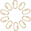 10Pcs Alloy Screw Carabiner Lock Charms FIND-DC0008-32G-1