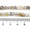 Natural Botswana Agate Beads Strands G-H042-A07-02-5