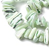 Dyed Natural Trochus Shell Beads Strands SSHEL-C013-09I-3