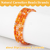 Olycraft 2 Strands Natural Carnelian Beads Strands G-OC0004-99-4