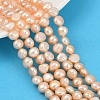 Natural Cultured Freshwater Pearl Beads Strands PEAR-P064-20B-08C-1
