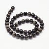 Natural Golden Sheen Obsidian Beads Strands G-K115-13-8mm-2