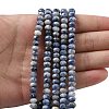 Natural Blue Spot Jasper Bead Strands G-D344-A22-2