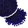 FGB Transparent Glass Seed Beads SEED-N013-01A-03-1