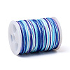 Segment Dyed Polyester Thread NWIR-I013-A-01-2