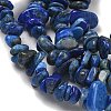 Natural Lapis Lazuli Chip Beads Strands G-E271-121-3