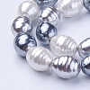 Shell Pearl Beads Strands BSHE-P030-03C-3