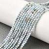 Natural Larimar Beads Strands G-G259-D13-2mm-1