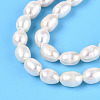 Natural Cultured Freshwater Pearl Beads Strands PEAR-N024-04-2AB-4