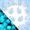 Luminous Resin Cabochons LS-RESI-U003-03D-1