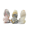 Natural Crazy Agate Sculpture Display Decorations G-PW0004-37E-1