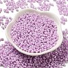 Glass Seed Beads SEED-K009-02A-06-2