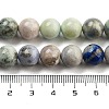 Natural Hackmanite Sodalite Beads Strands G-Z063-A03-01-5