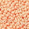 Baking Paint Glass Seed Beads SEED-B001-02A-16-3