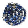 Natural Lapis Lazuli Beads Strands G-G189-D03-07-3