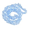 Transparent Glass Beads Strands GLAA-Z009-01D-2