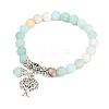 Natural Amazonite Stretch Bracelets BJEW-F262-A09-4