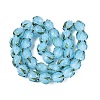Handmade Lampwork Beads LAMP-Q039-18C-2