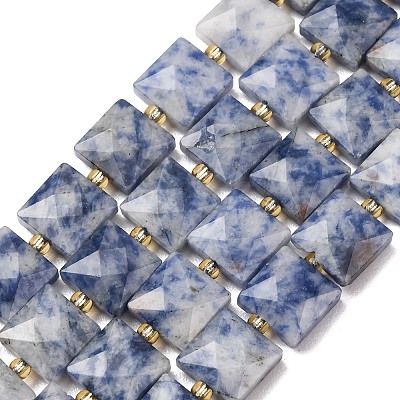 Natural Blue Spot Jasper Beads Strands G-F839-A15-01-1