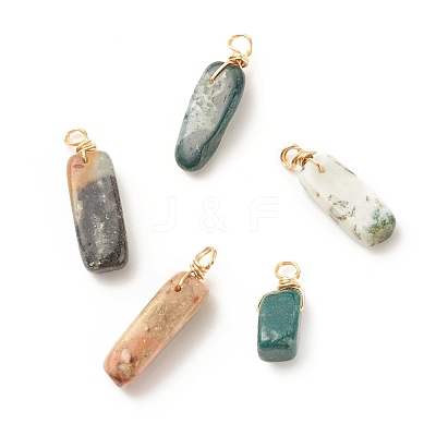 Natural Indian Agate Pendants PALLOY-JF01582-04-1