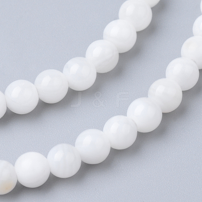 Natural Freshwater Shell Bead Strands SHEL-S249-29-1