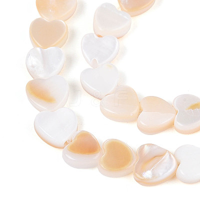 Natural Freshwater Shell Beads Strands SHEL-N026-67A-1