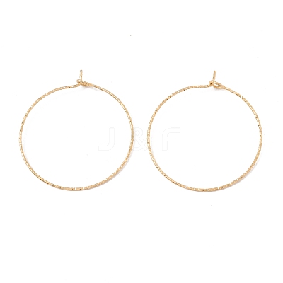 Ion Plating(IP) 316 Surgical Stainless Steel Hoop Earrings Findings STAS-D183-02G-03-1