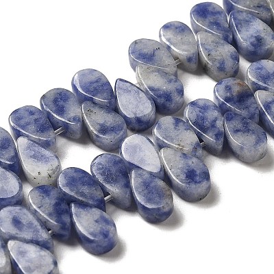 Natural Blue Spot Jasper Beads Strands G-B064-B59-1