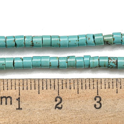 Natural Turquoise Beads Strands X-G-C084-D10-02-1