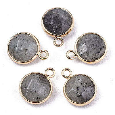 Natural Labradorite Pendants G-T131-101A-1